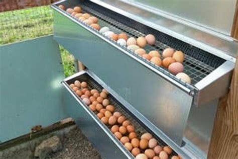 metal nest boxes for chickens|best chicken nesting box material.